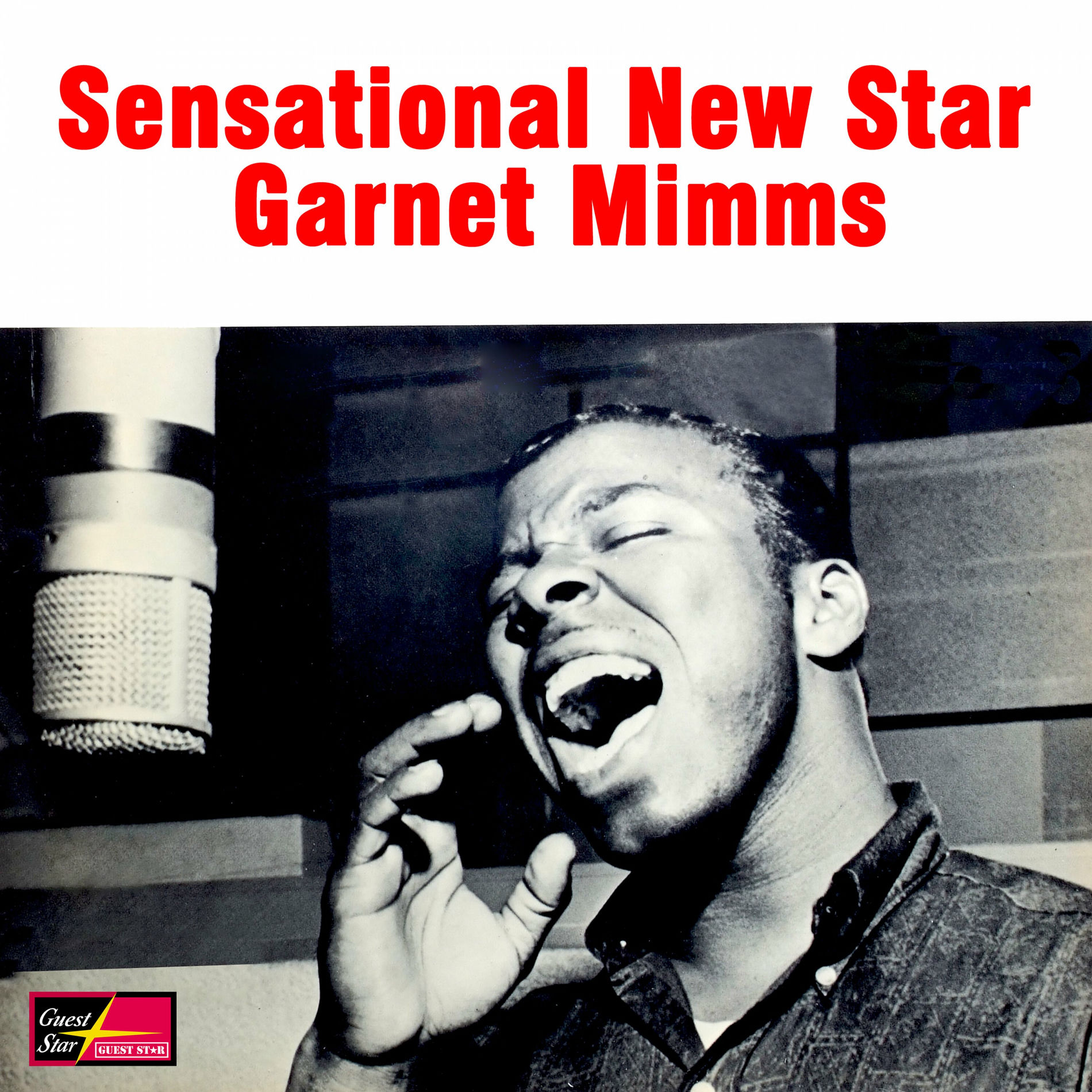 Album cover of Sensational New Star