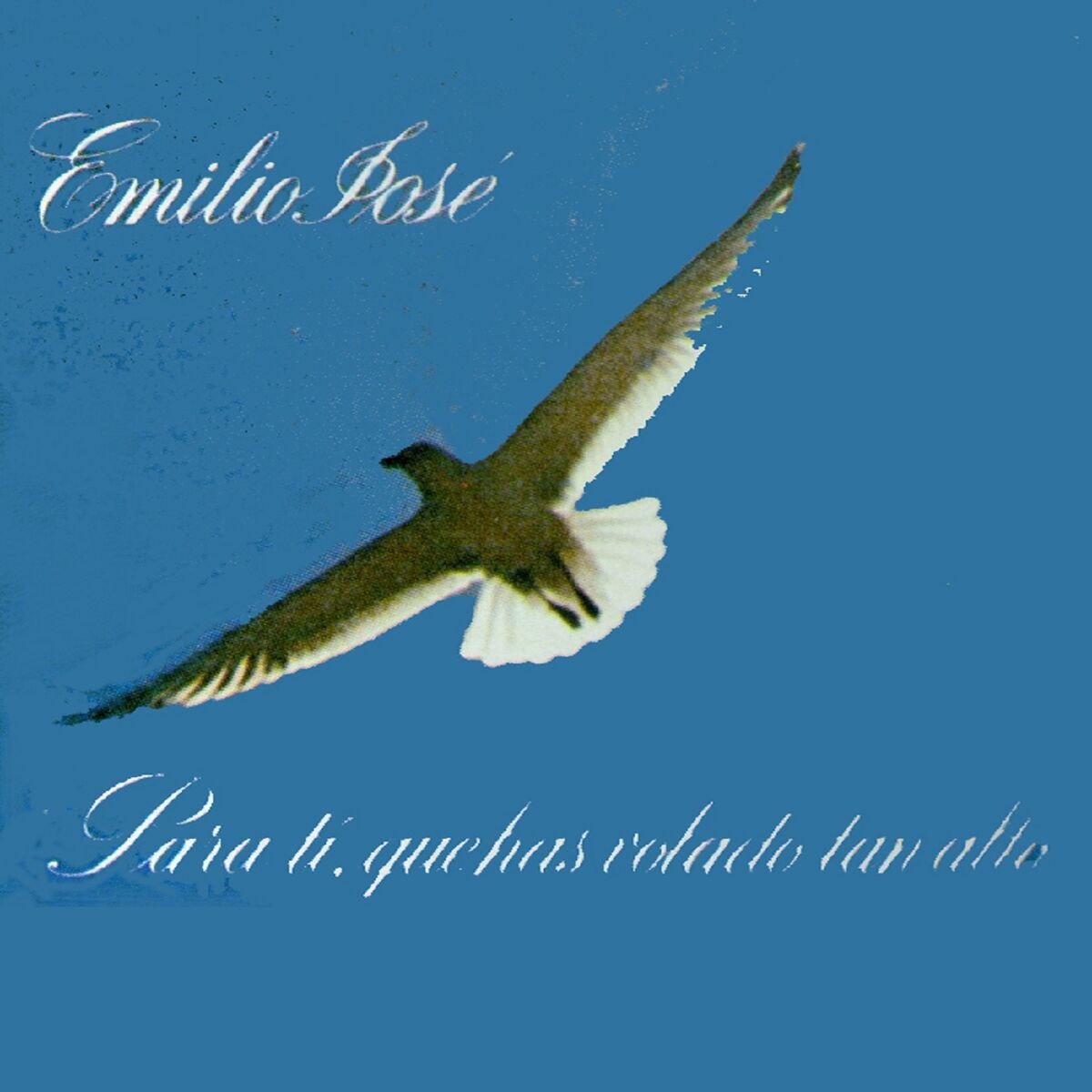 Album cover of Para Ti, Que Has Volado Tan Alto