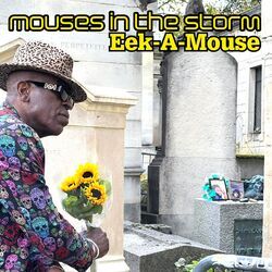 Cover of Mouses in the Storm