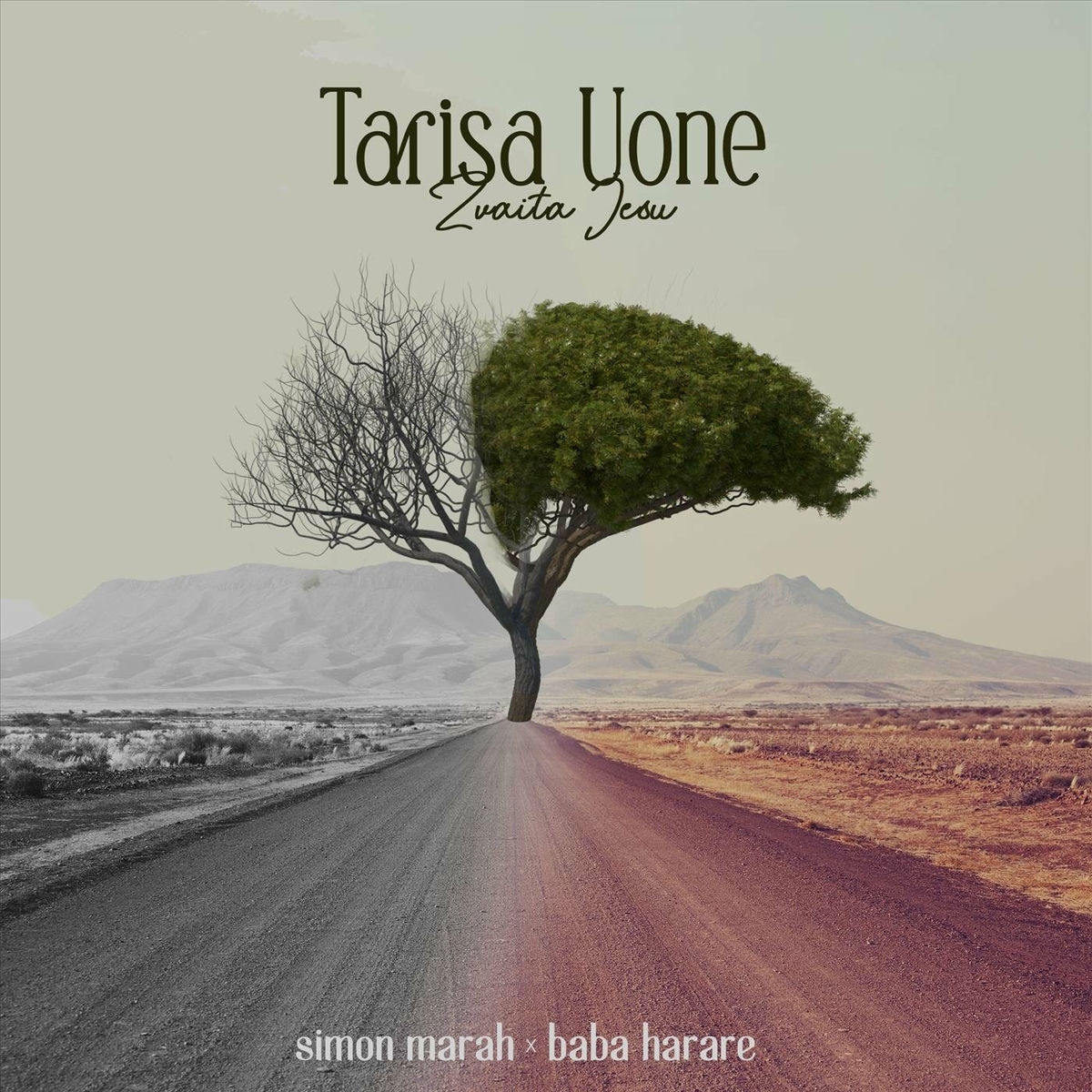 Album cover of Tarisa Uone (Zvaita Jesu)