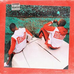 Cover of Swervo