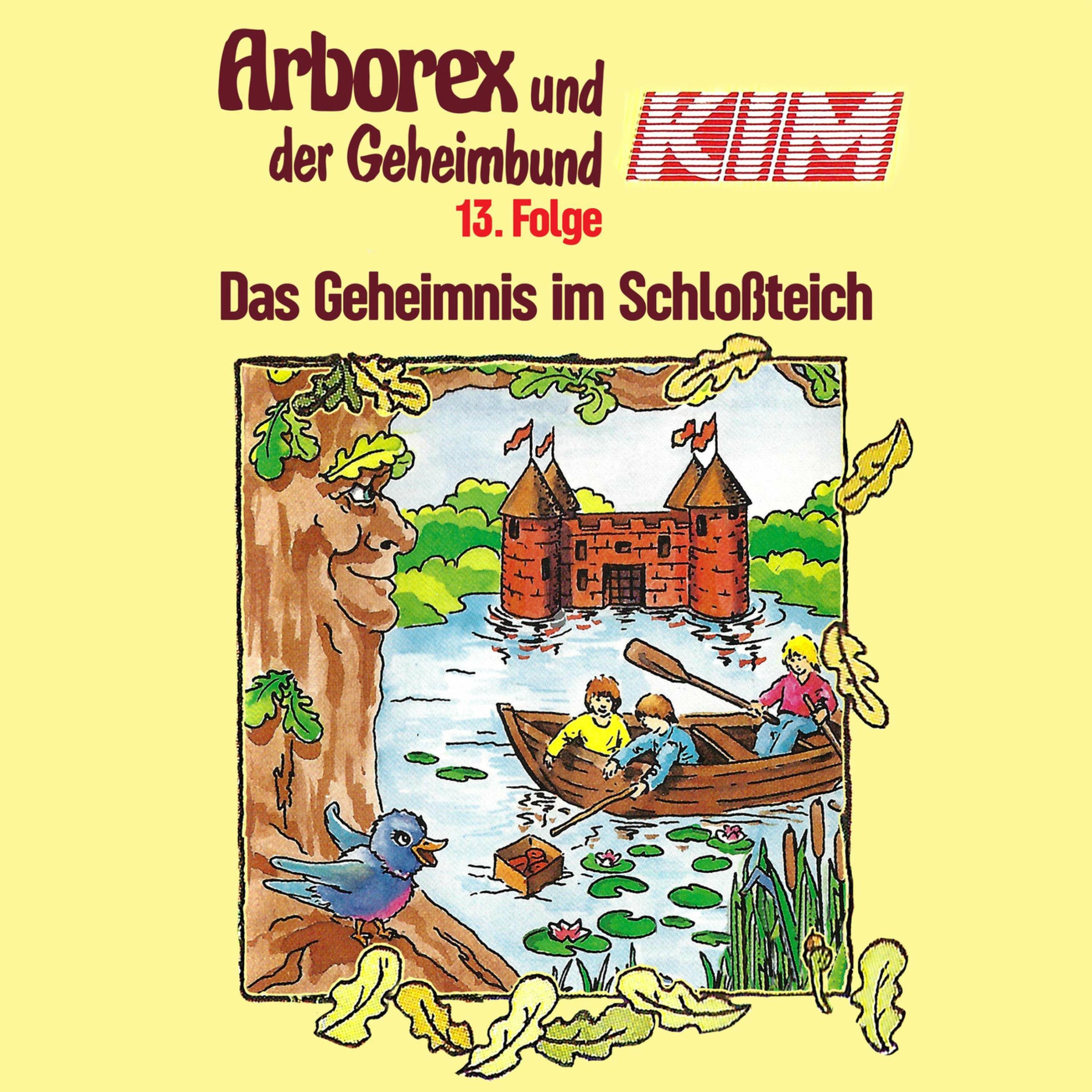 Album cover of 13: Das Geheimnis im Schloßteich