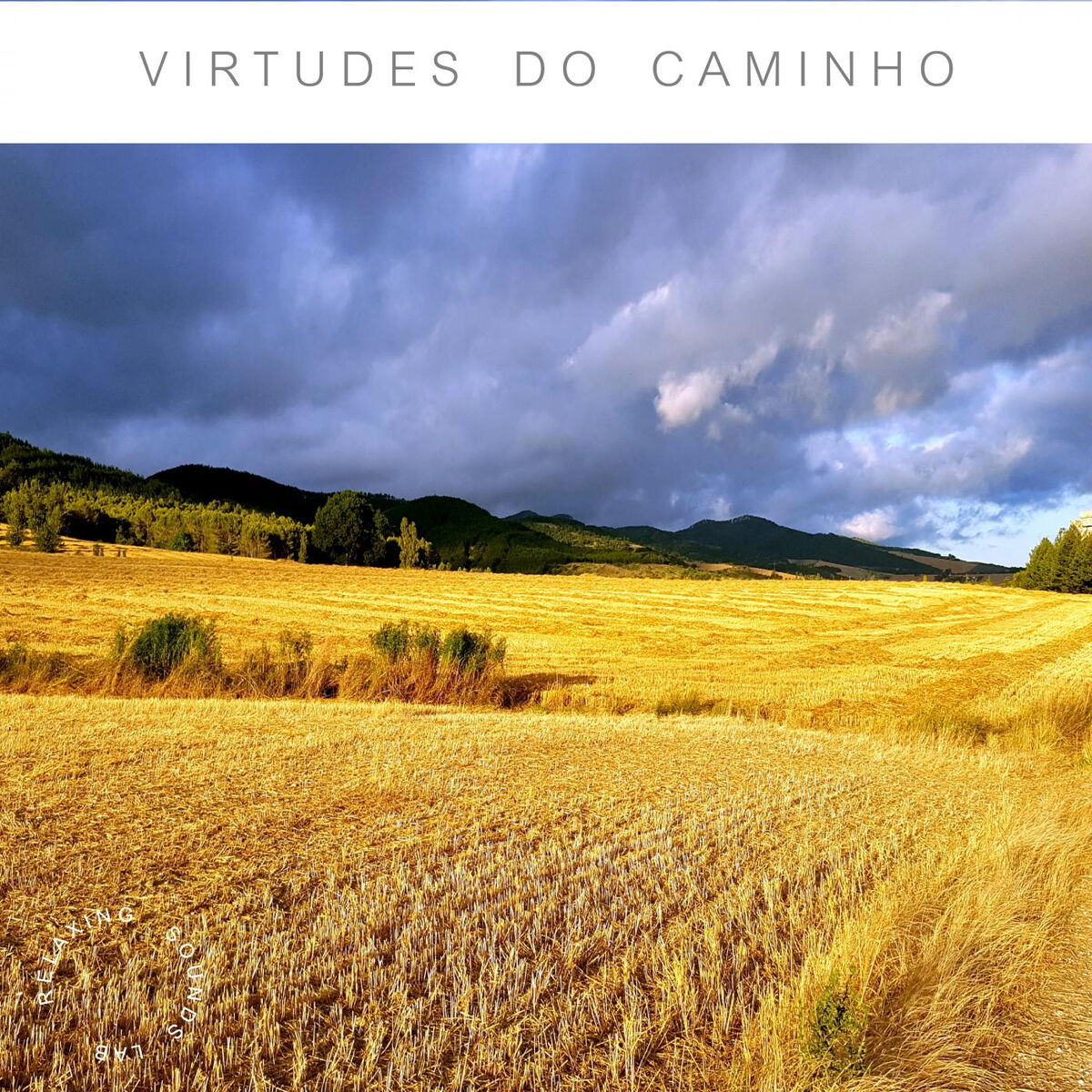Album cover of Virtudes Do Caminho