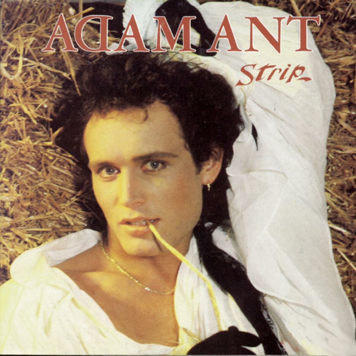 Album cover of Strip