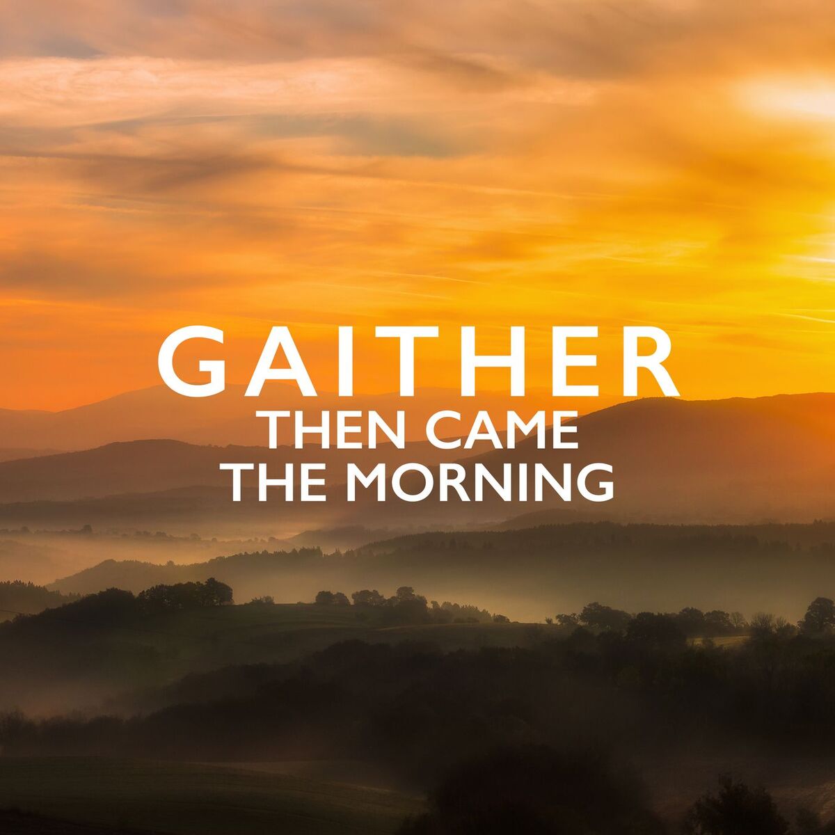 Album cover of Gaither: Then Came The Morning
