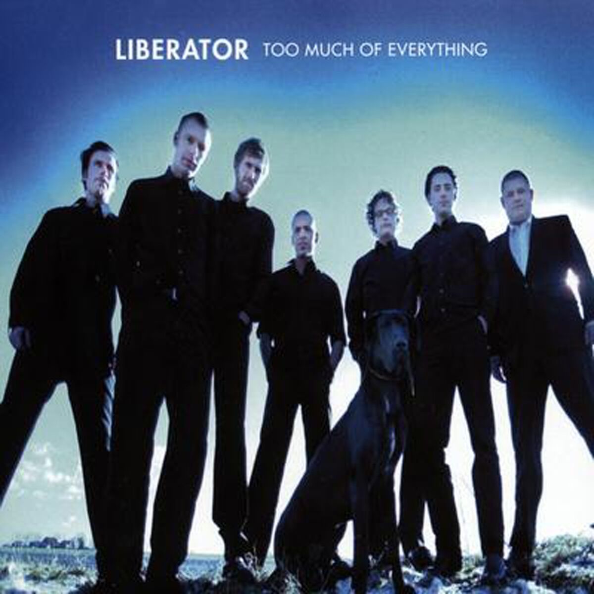 Album cover of Too Much Of Everything