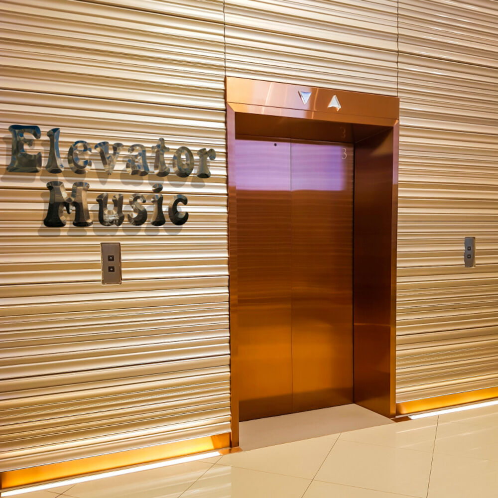 Picture of Elevator Music