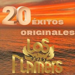 Cover of 20 ÉXITOS ORIGINALES