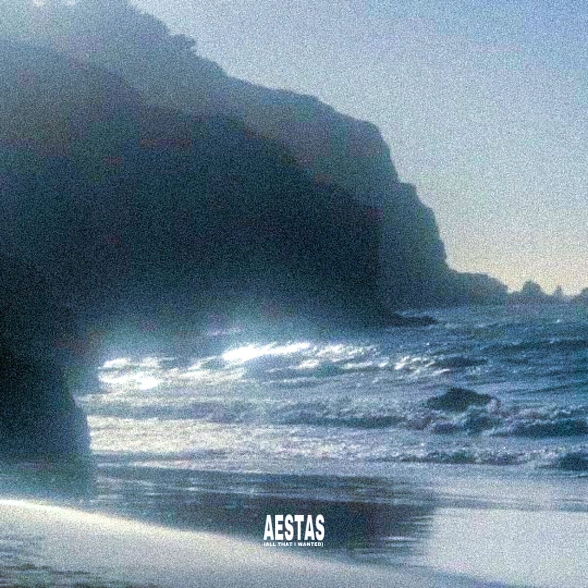 Album cover of Aestas (All That I Wanted)