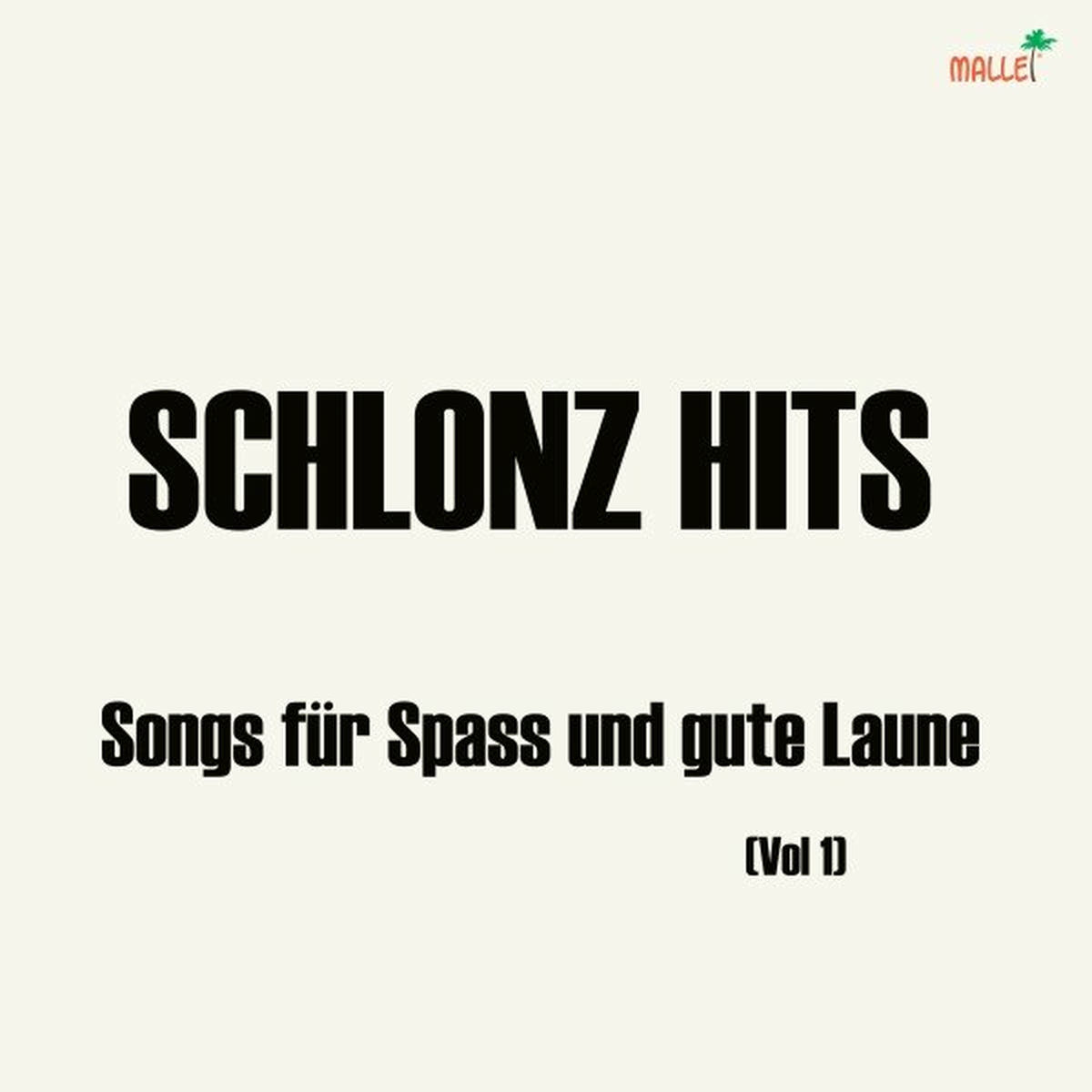 Album cover of Schlonz Hits (Songs für Spass und gute Laune)