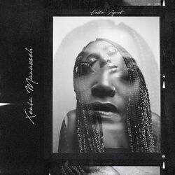 Cover of Fallin' Apart