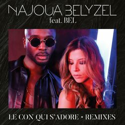 Cover of Le con qui s'adore (Remixes)