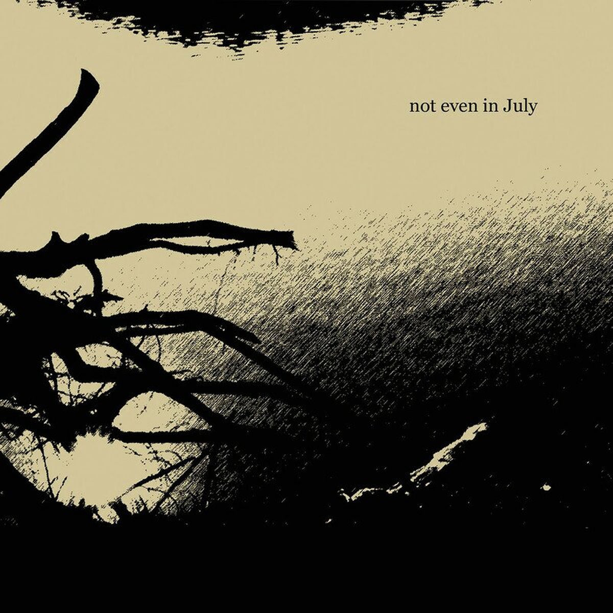 Album cover of Not Even In July