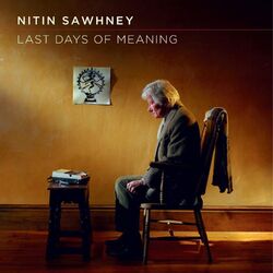 Cover of Last Days of Meaning