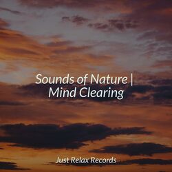 Cover of Sounds of Nature | Mind Clearing