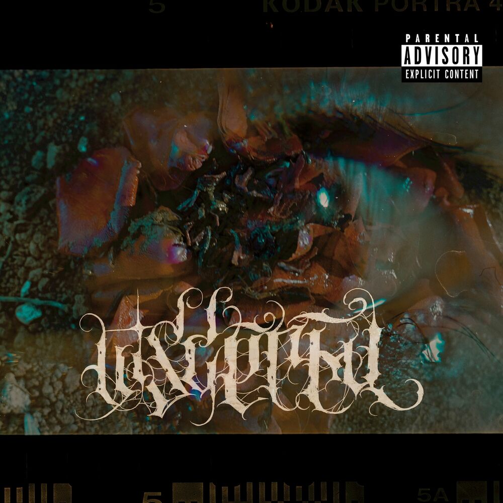 Picture of Visceral