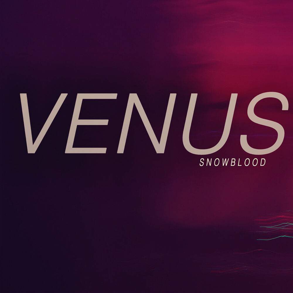 Picture of Venus