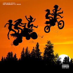 Cover of Look Alive (Remix)