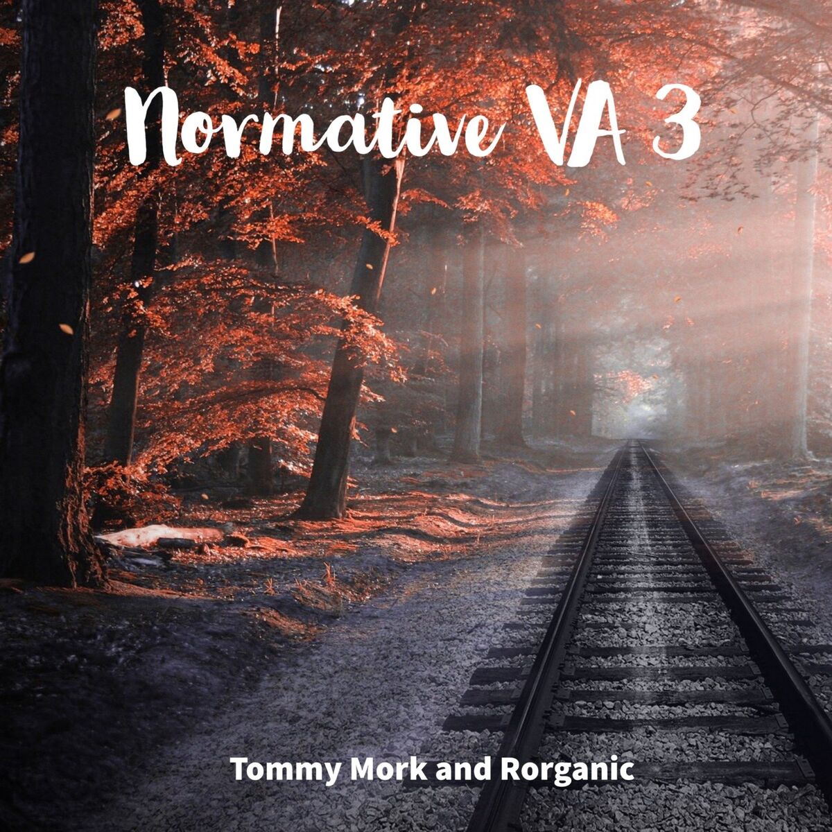 Album cover of Normative VA 3