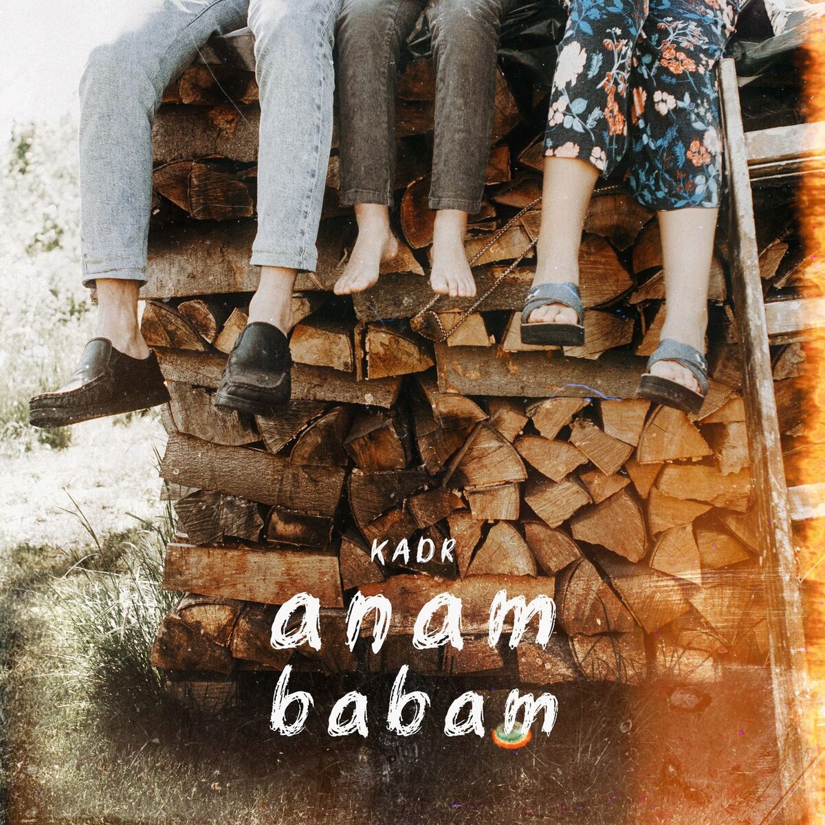 Album cover of Anam Babam