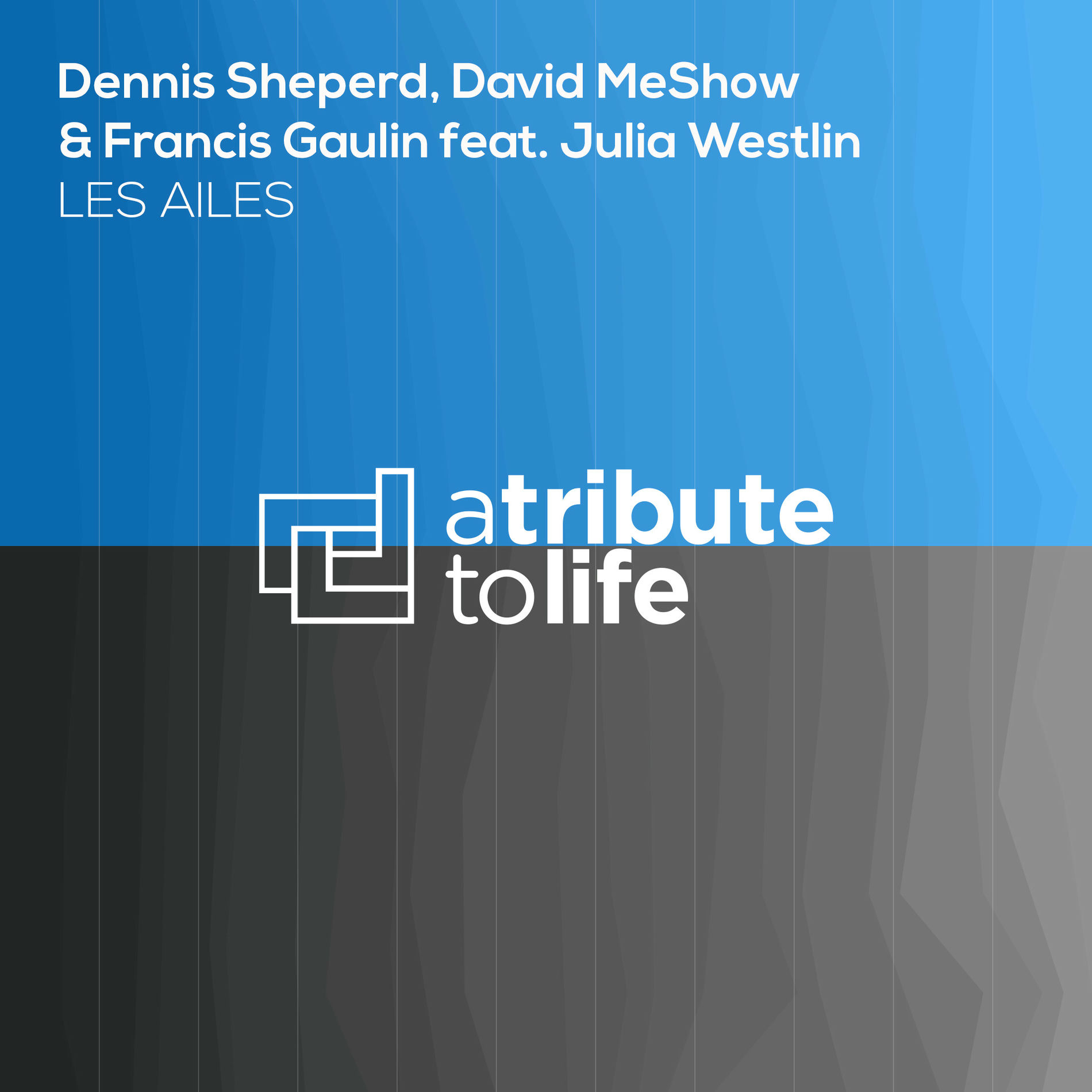 Album cover of Les Ailes
