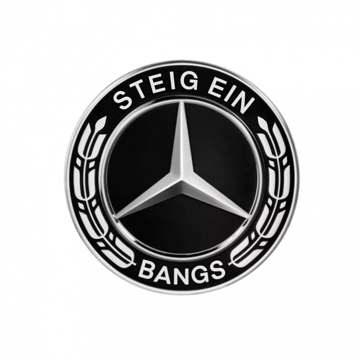 Album cover of Steig ein