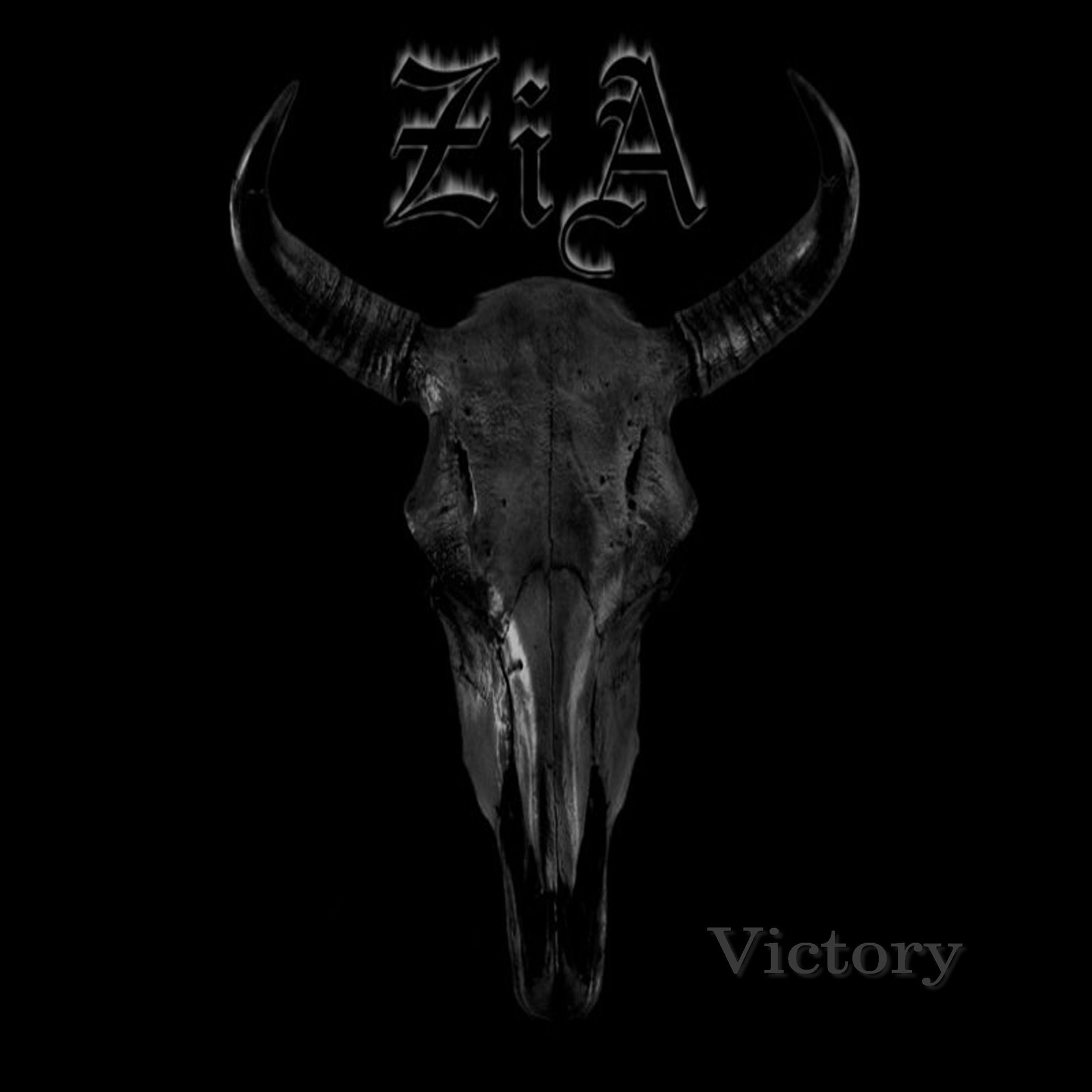 Album cover of Victory