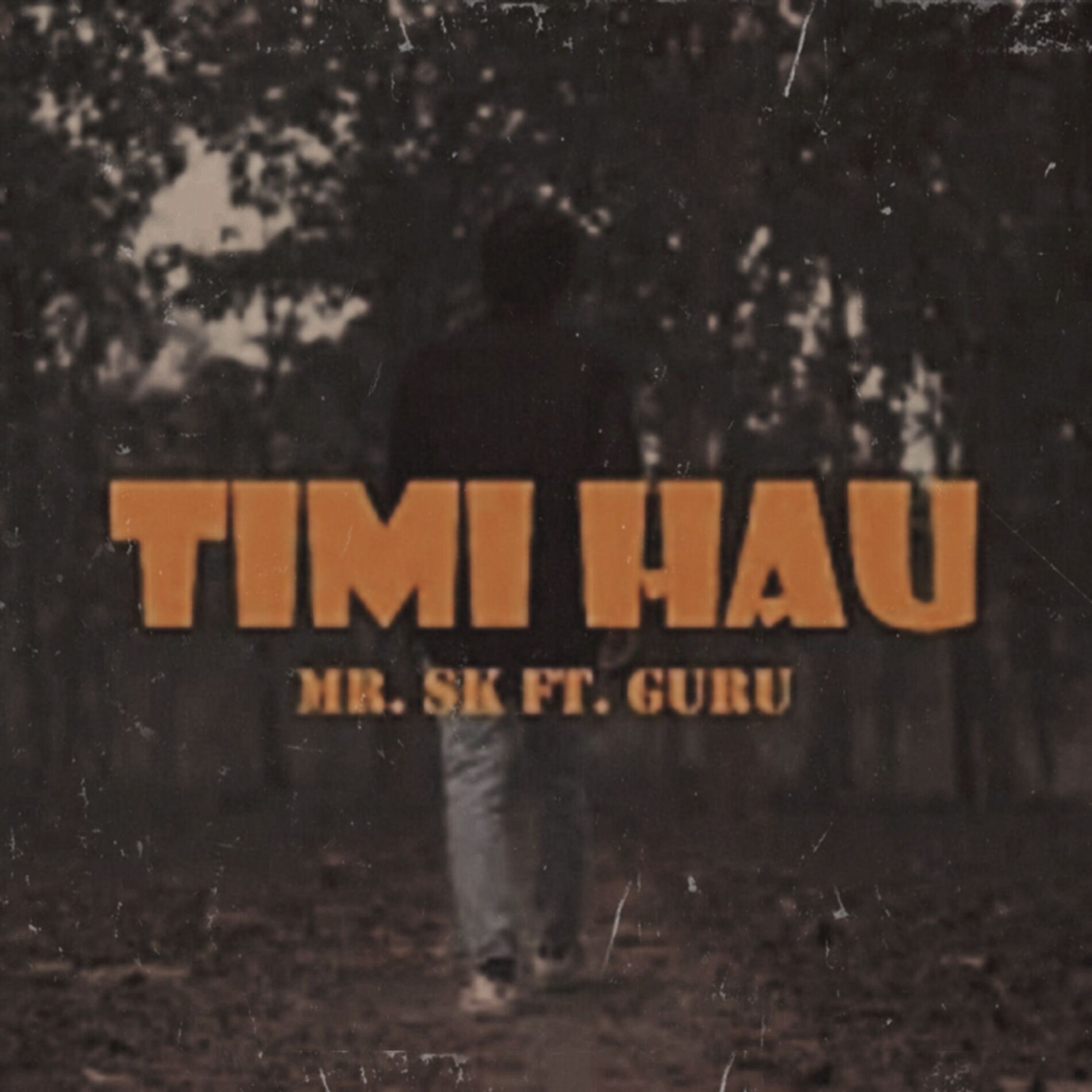 Album cover of timi hau (Extended Version)