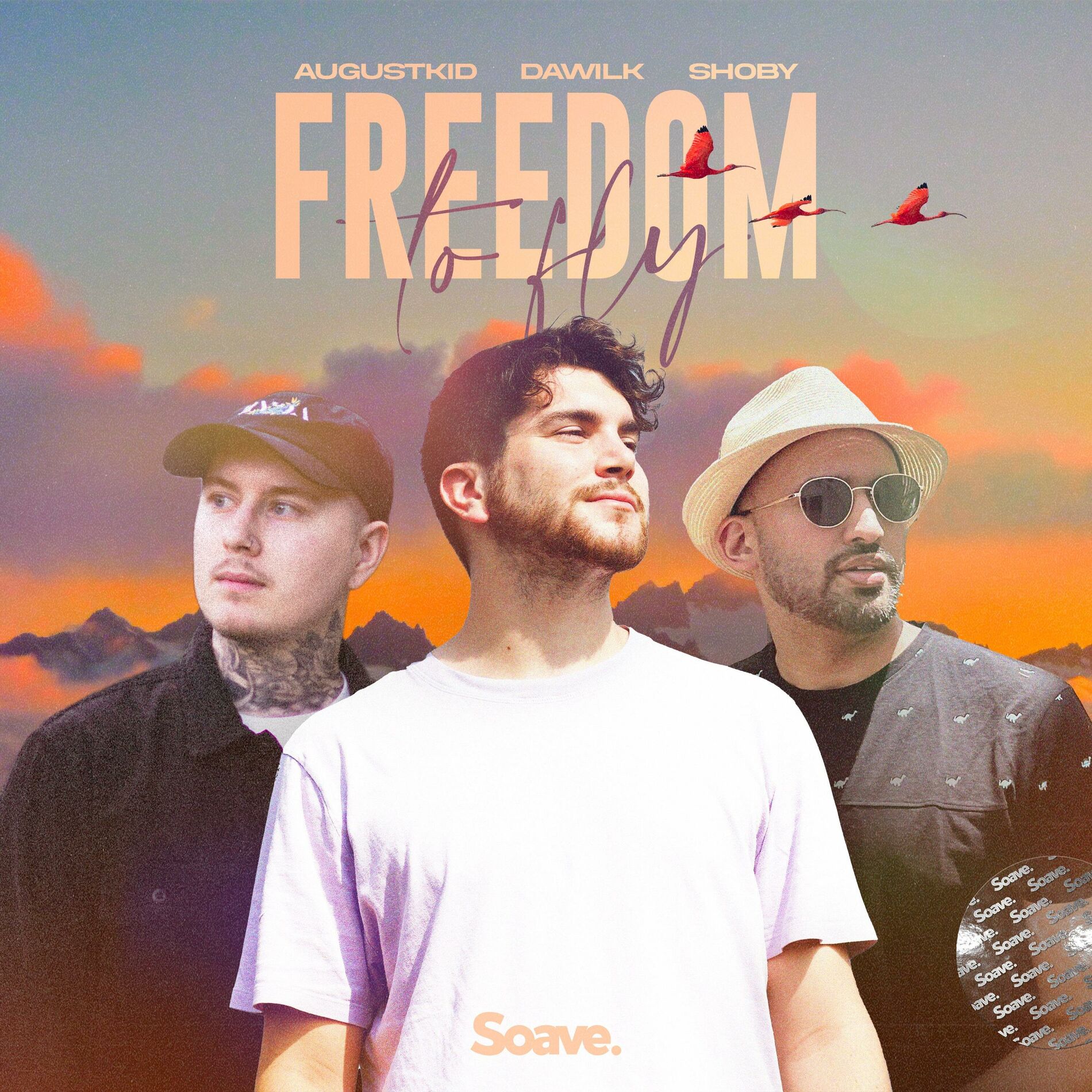 Album cover of Freedom To Fly