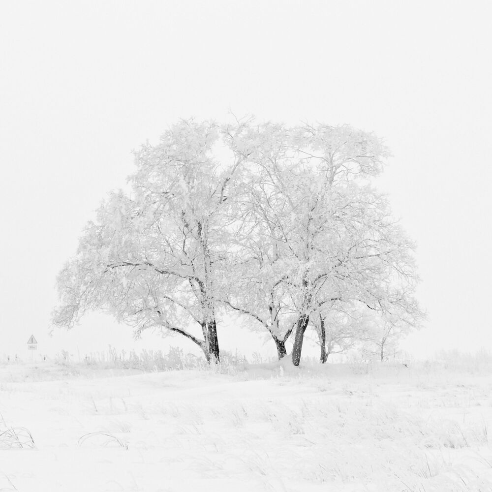 Picture of Christmas and New Years Chill Collection: 50 Melodies for a Relaxing Christmas and New Years with Family