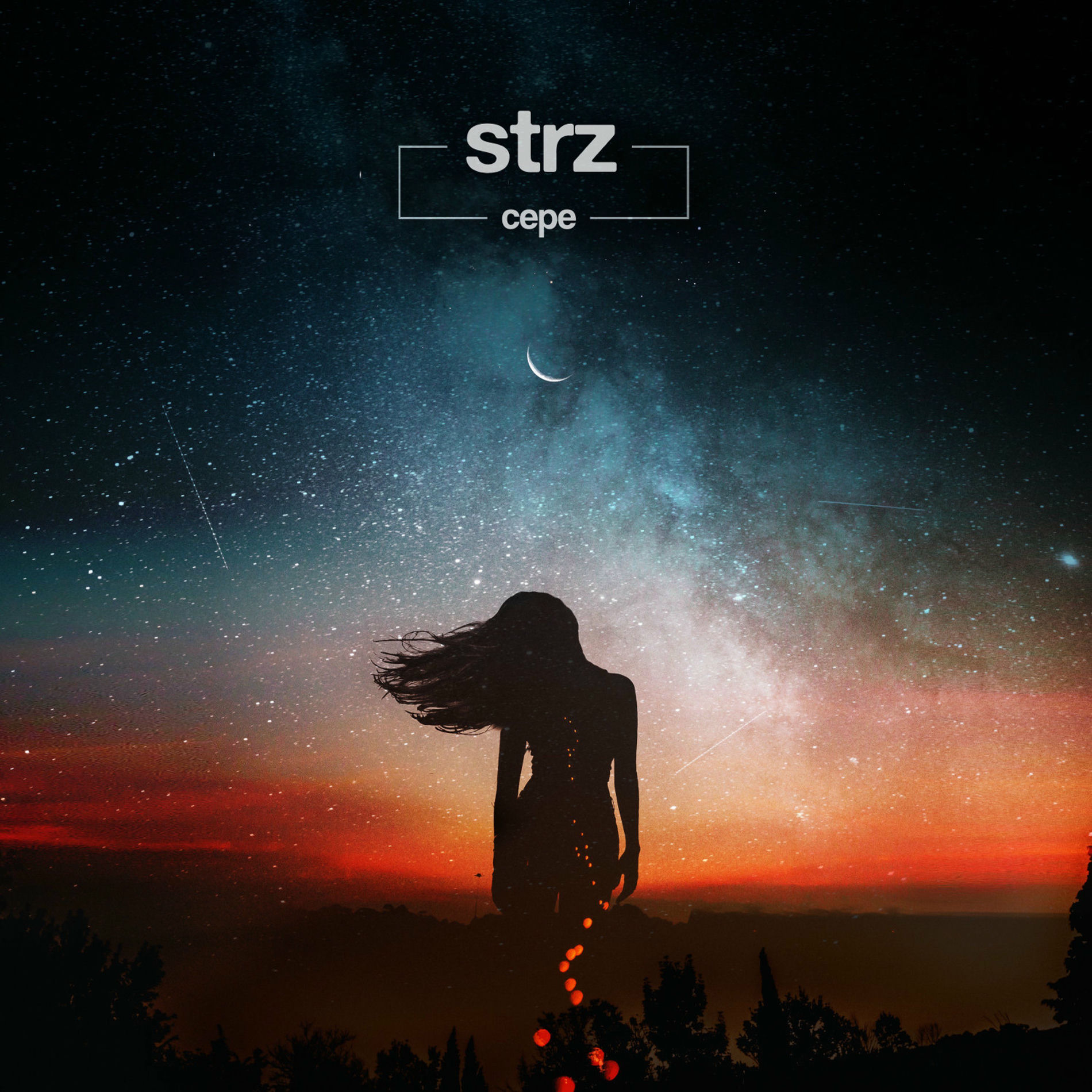 Album cover of Strz
