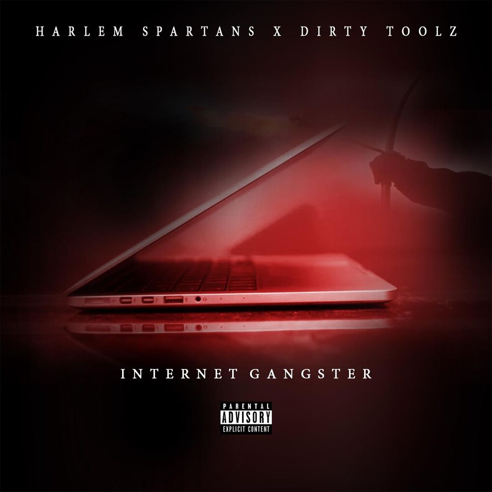 Picture of Internet Gangster