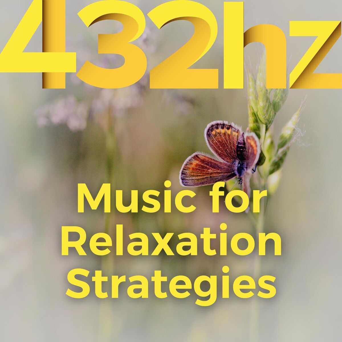 Album cover of Music for Relaxation Strategies