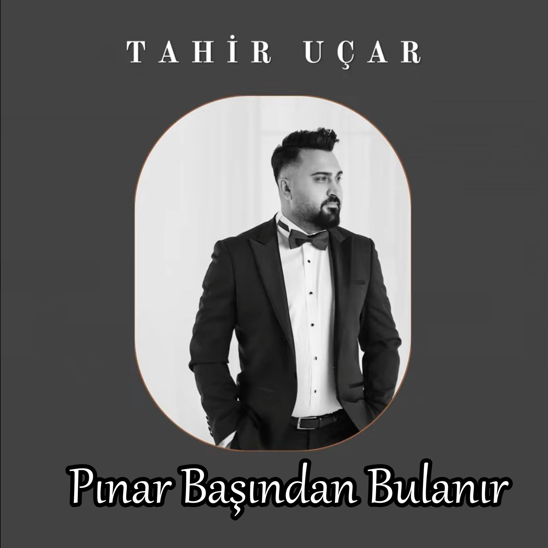 Album cover of Pınar Başından Bulanır