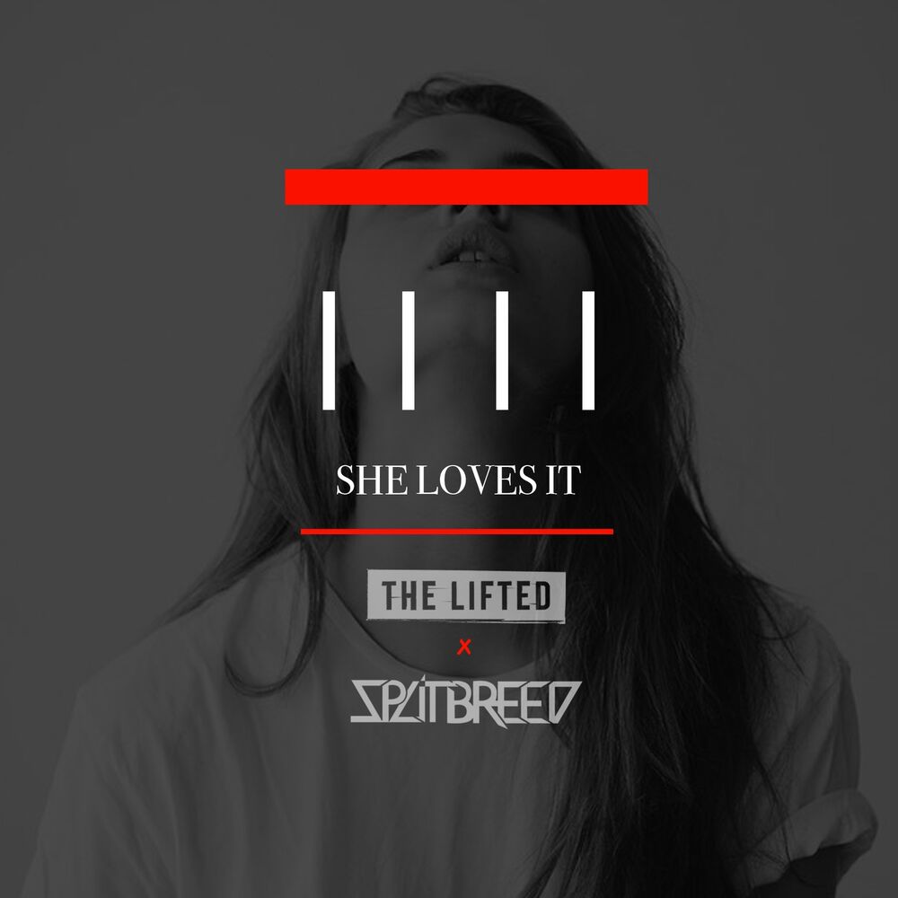 Picture of She Loves It (feat. Splitbreed)