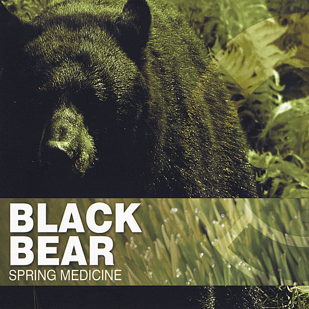 Picture of Spring Medicine
