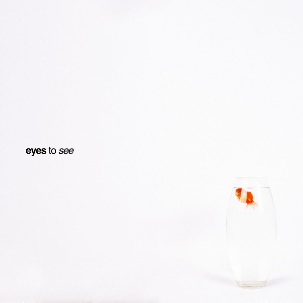 Picture of Eyes to See