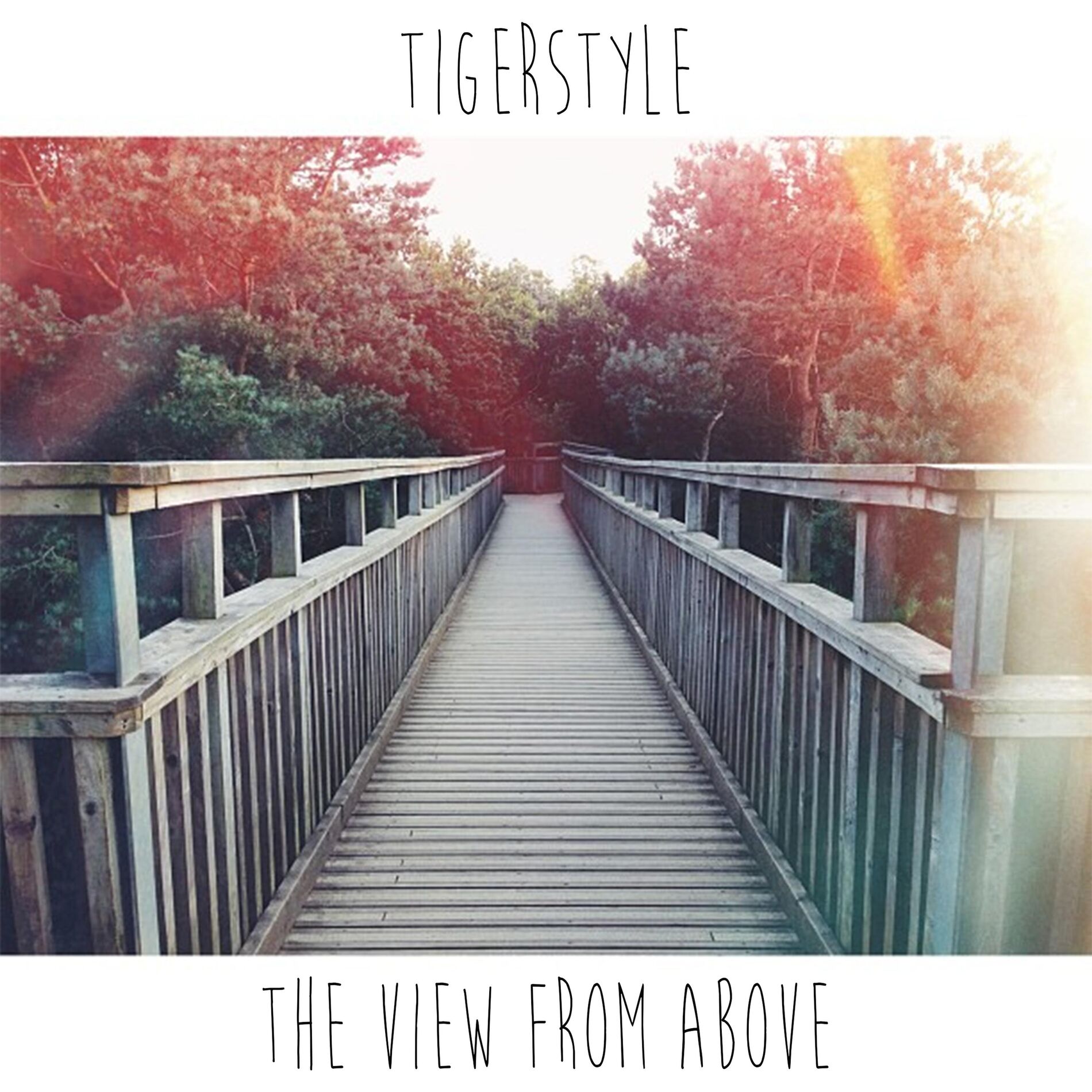Album cover of The View from Above