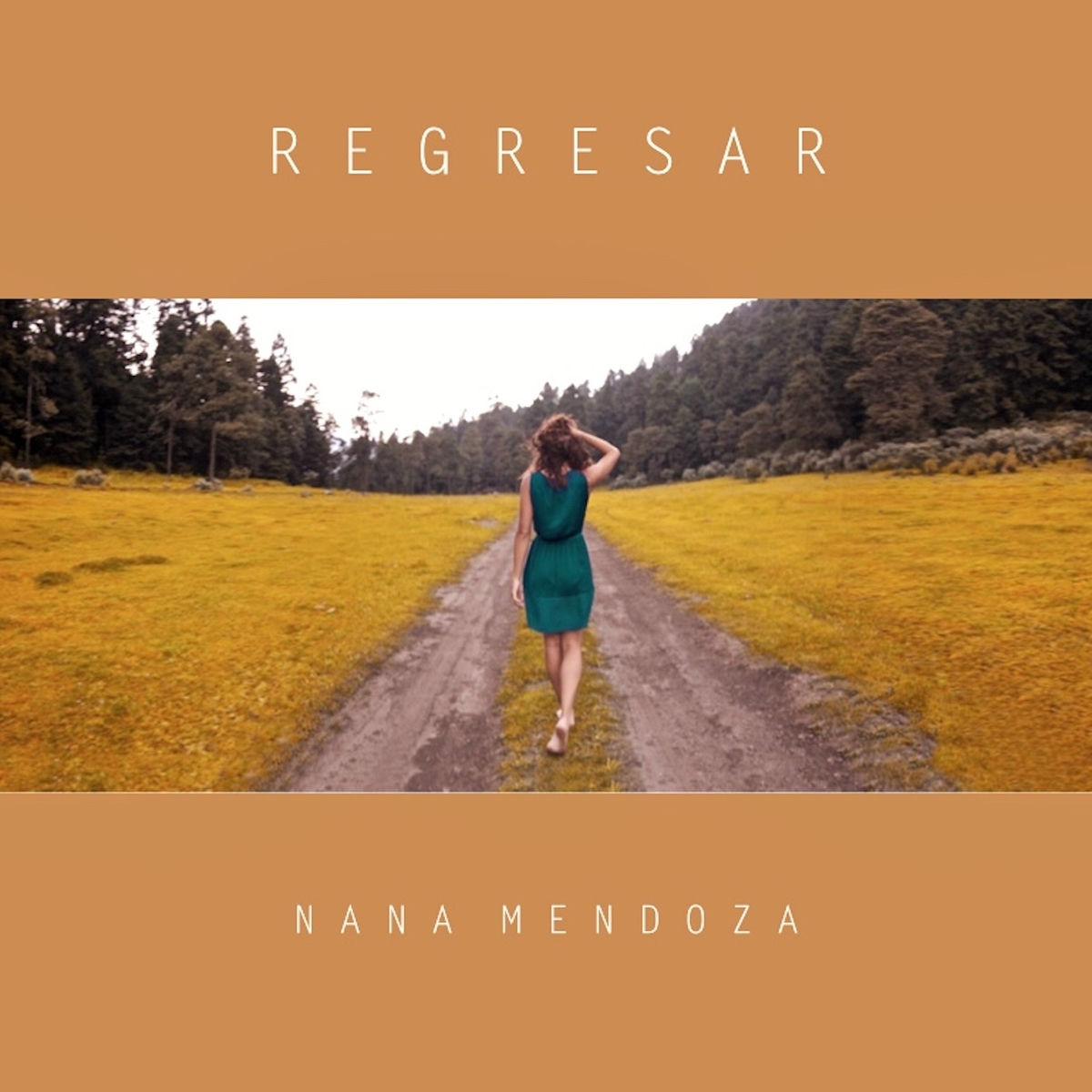 Album cover of Regresar