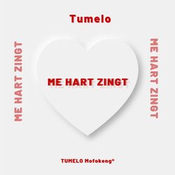 Cover of Me Hart Zingt