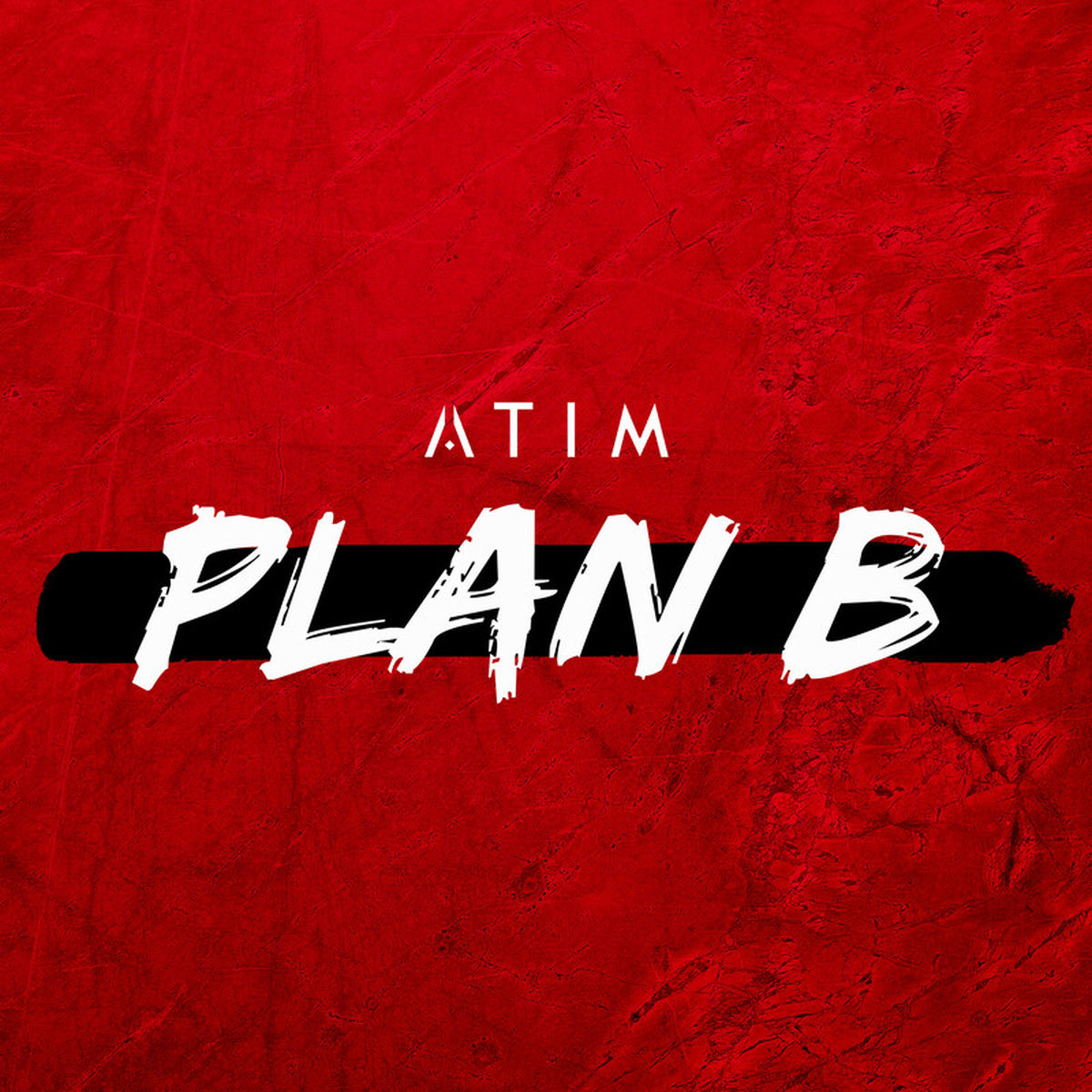 Album cover of Plan B
