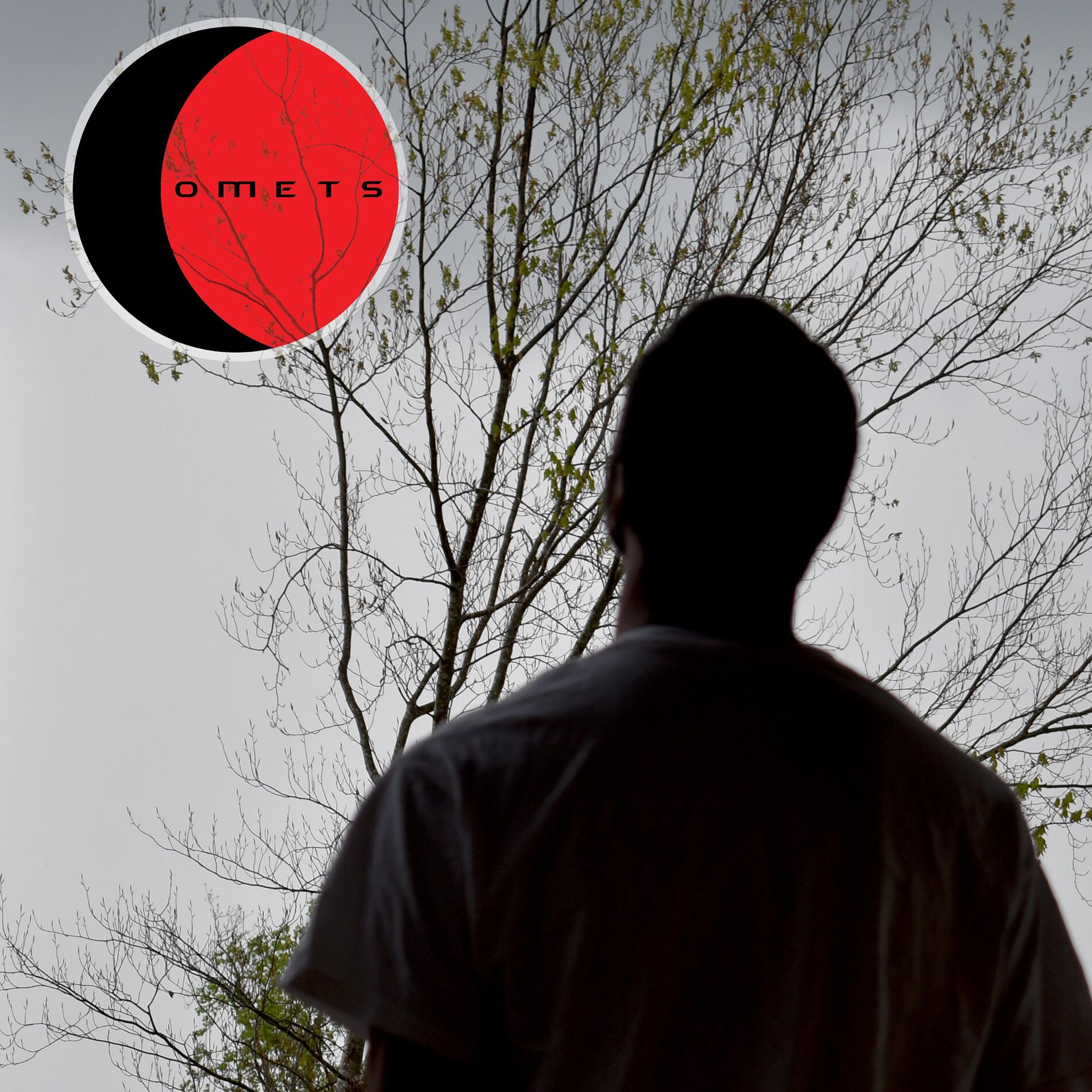 Album cover of Comets