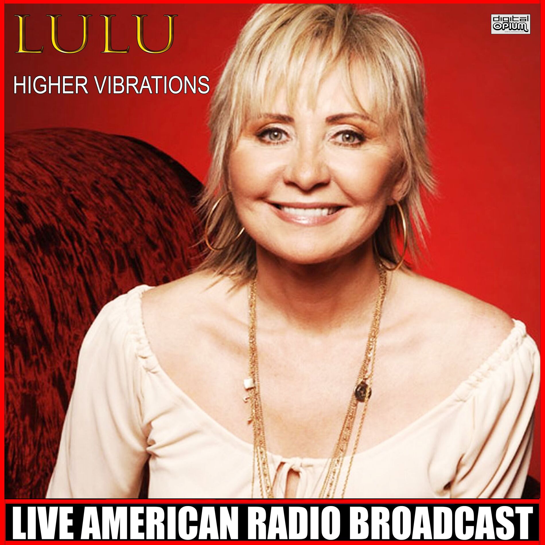 Album cover of Higher Vibrations (Live)