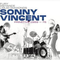 Cover of Primitive 1969-76