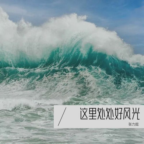 这里处处好风光