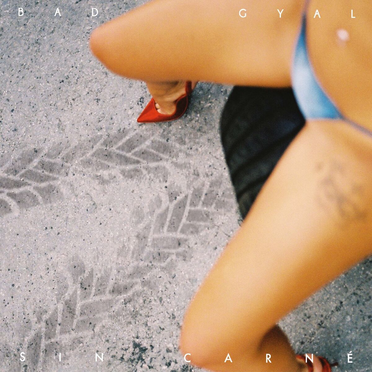 Album cover of Sin Carné