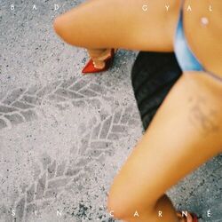 Cover of Sin Carné