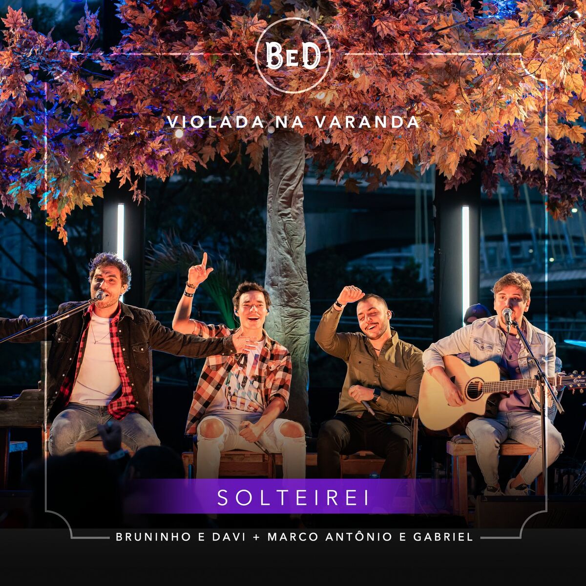 Album cover of Solteirei