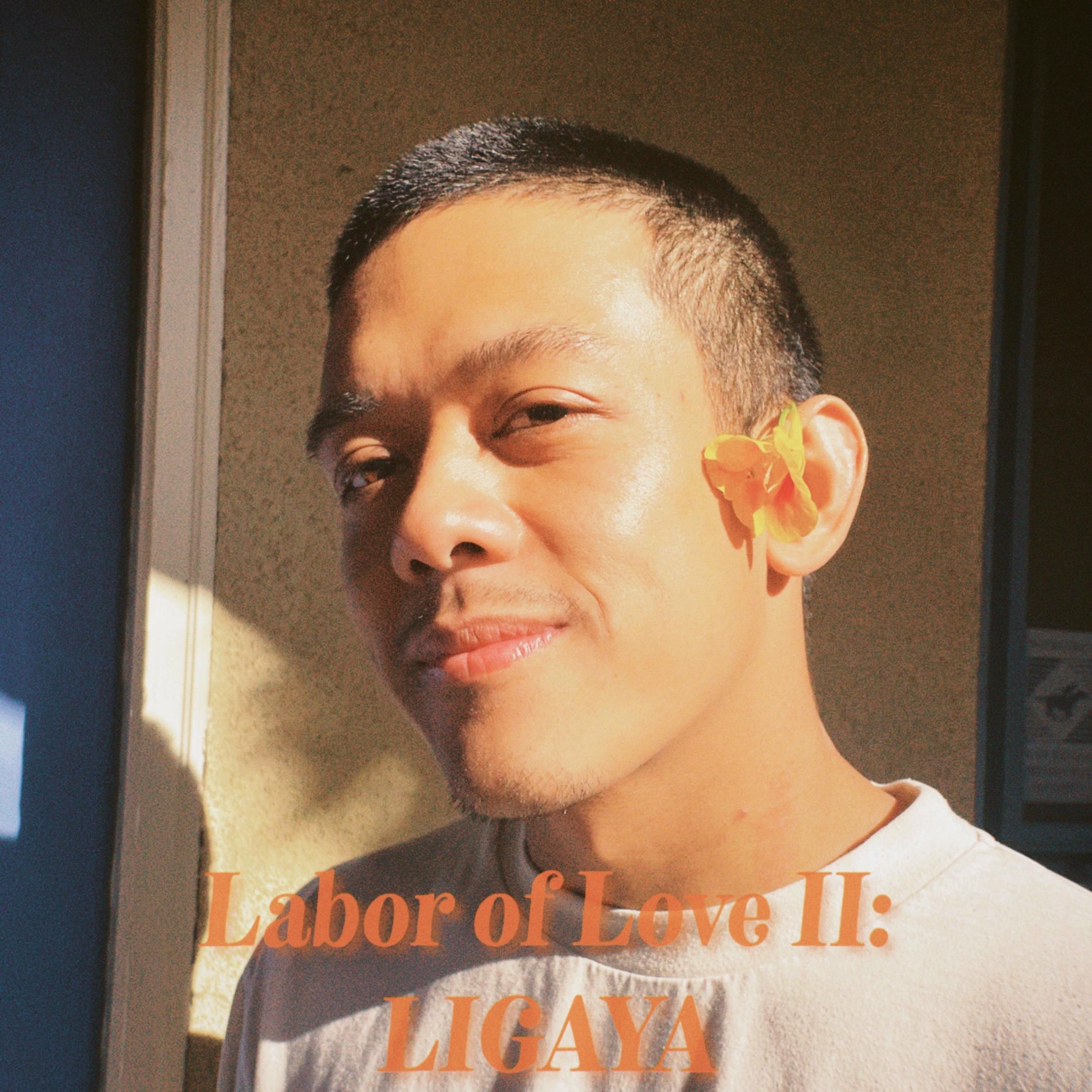Album cover of Labor of Love II: LIGAYA