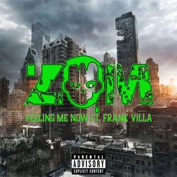 Cover of Feeling Me Now (feat. FRANK VILLA)
